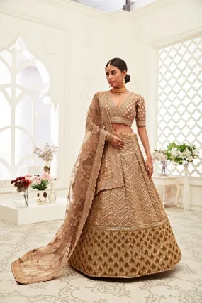 Brown Color Slub Silk Zari Embroidery Lehenga - Rent