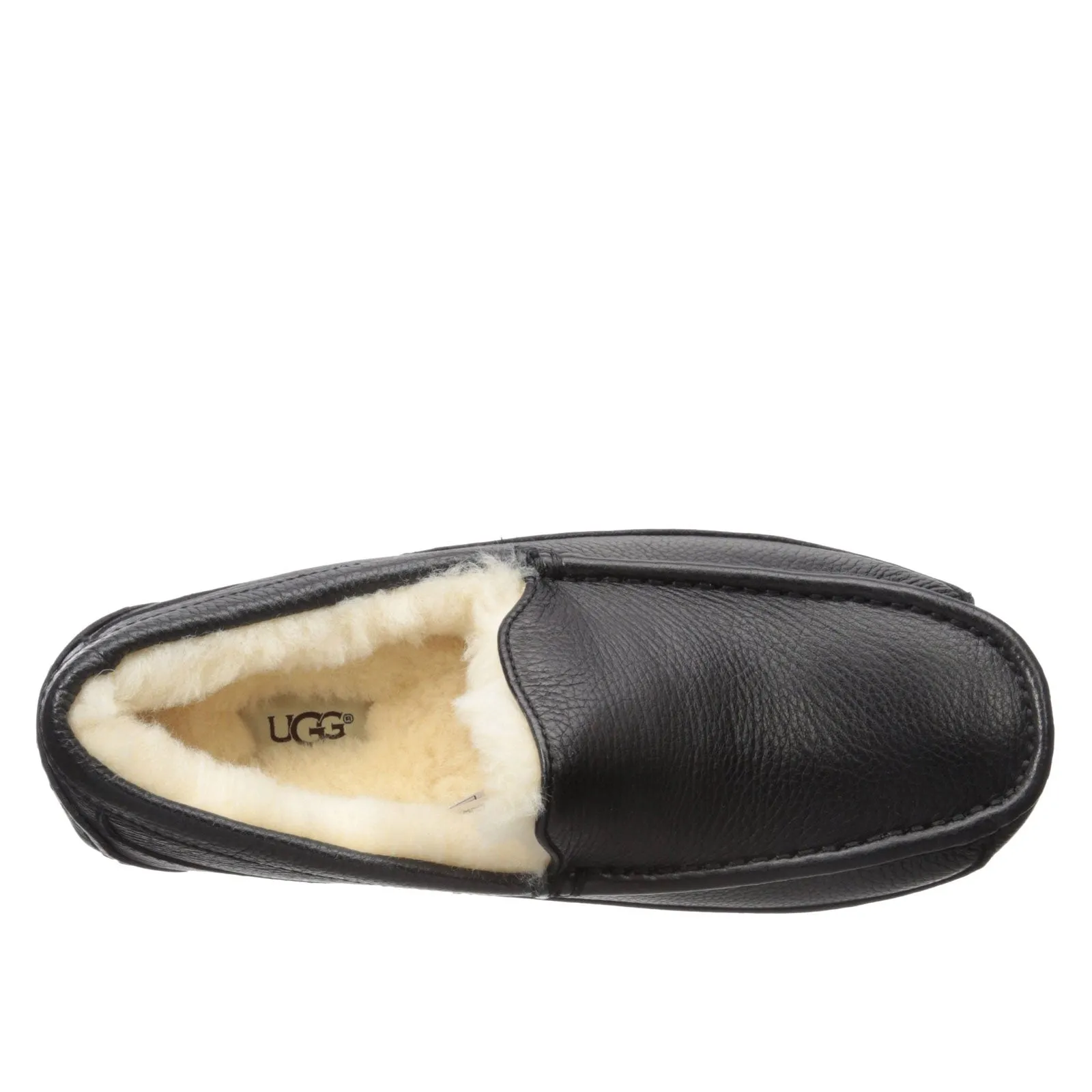 UGG Ascot 5379B (Black)