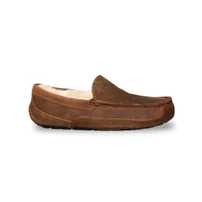 UGG Ascot Oiled Suede Chestnut Slippers - Men's